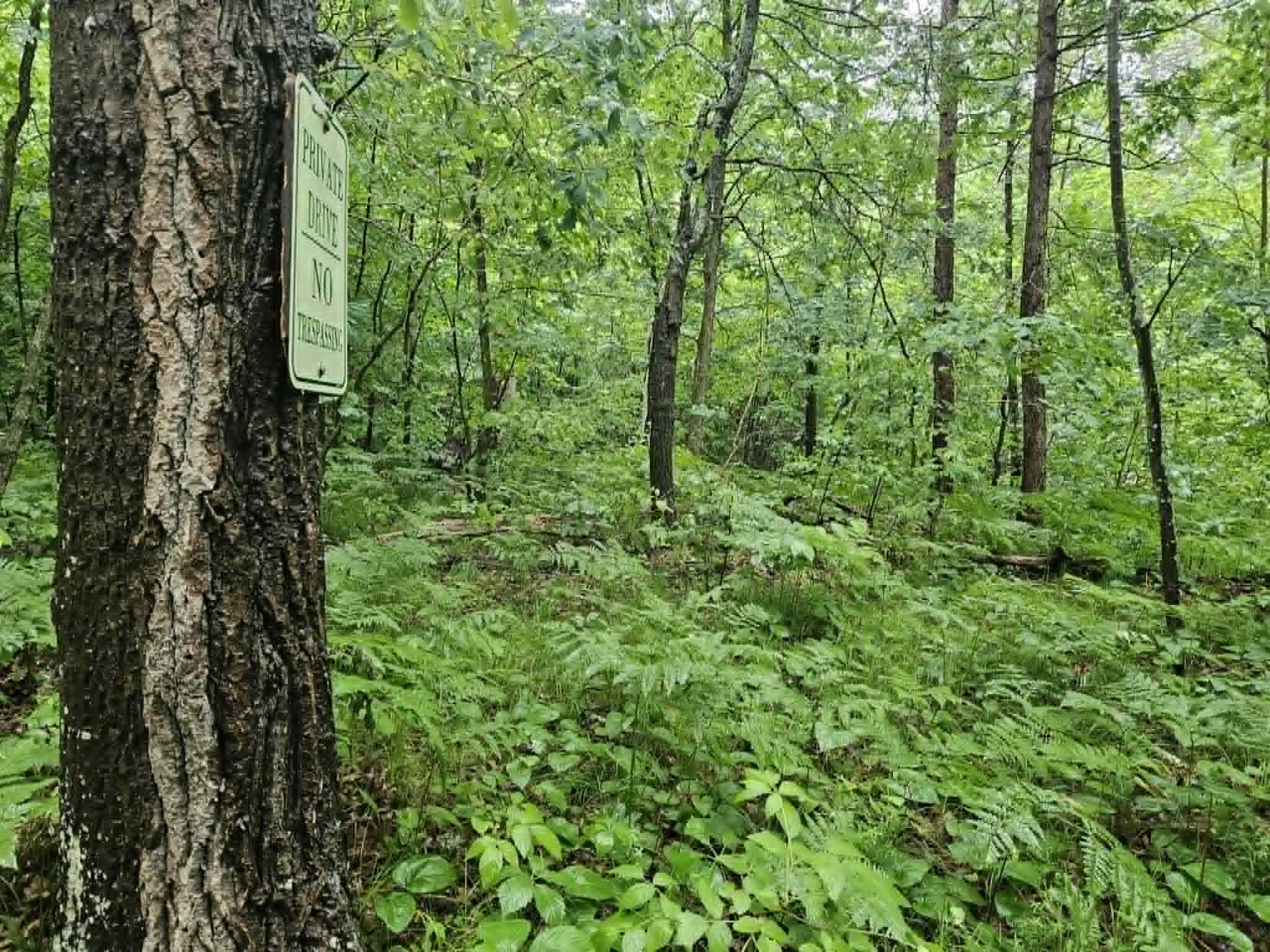Lot 2 Hilly Lane Spooner, WI 54801 - Photo 2 of 4