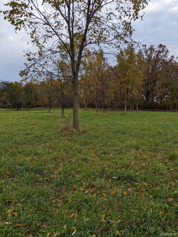 12885 Ebeling Road Romeo, MI 48065 - Photo 1 of 4 Survey Pic 2.JPG