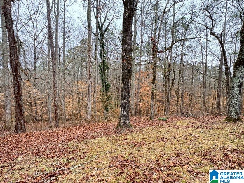 5121 Highway 9 Heflin, AL 36264 - Photo 40 of 54