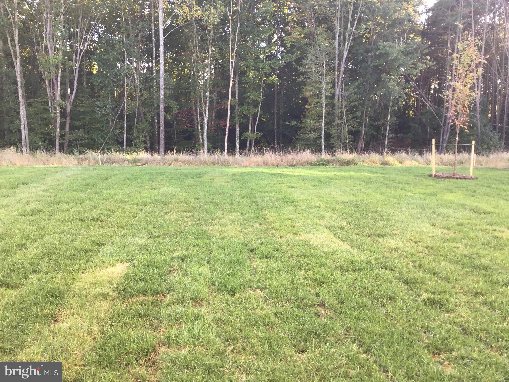 1035 Aspen Road Stafford, VA 22554 - Photo 24 of 24
