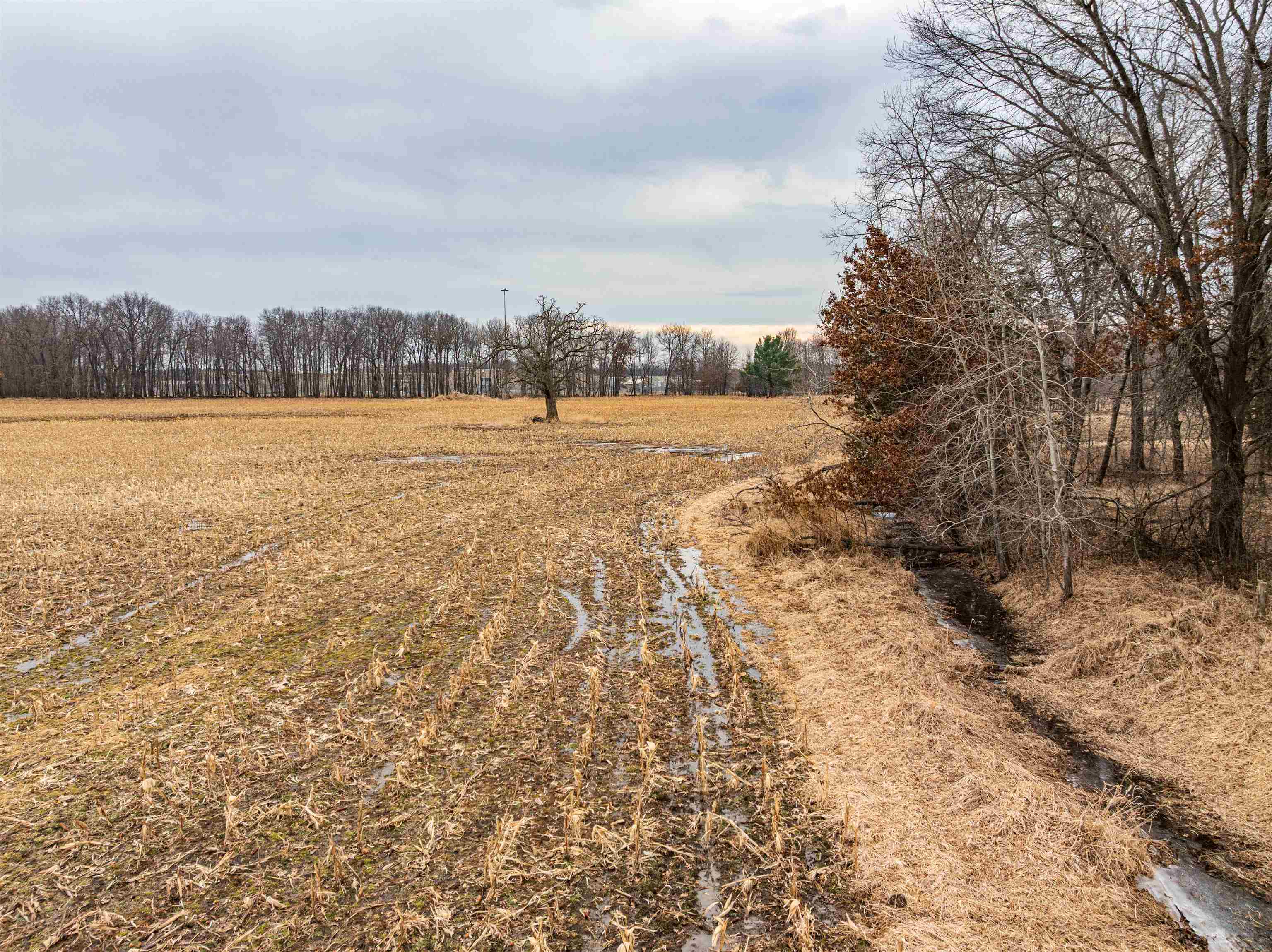 32-acres Germantown Road New Lisbon, WI 53950 - Photo 13 of 18