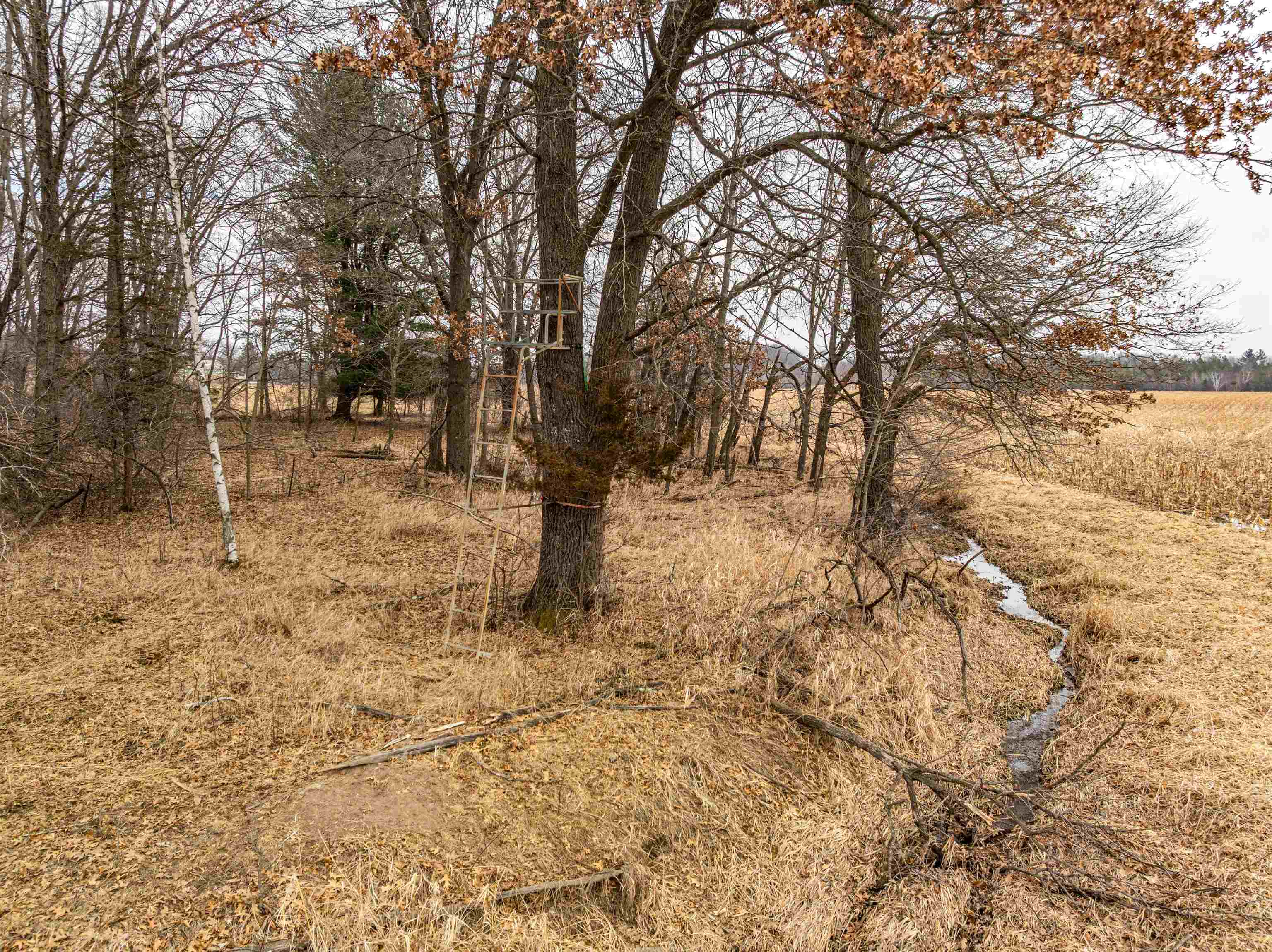 32-acres Germantown Road New Lisbon, WI 53950 - Photo 14 of 18