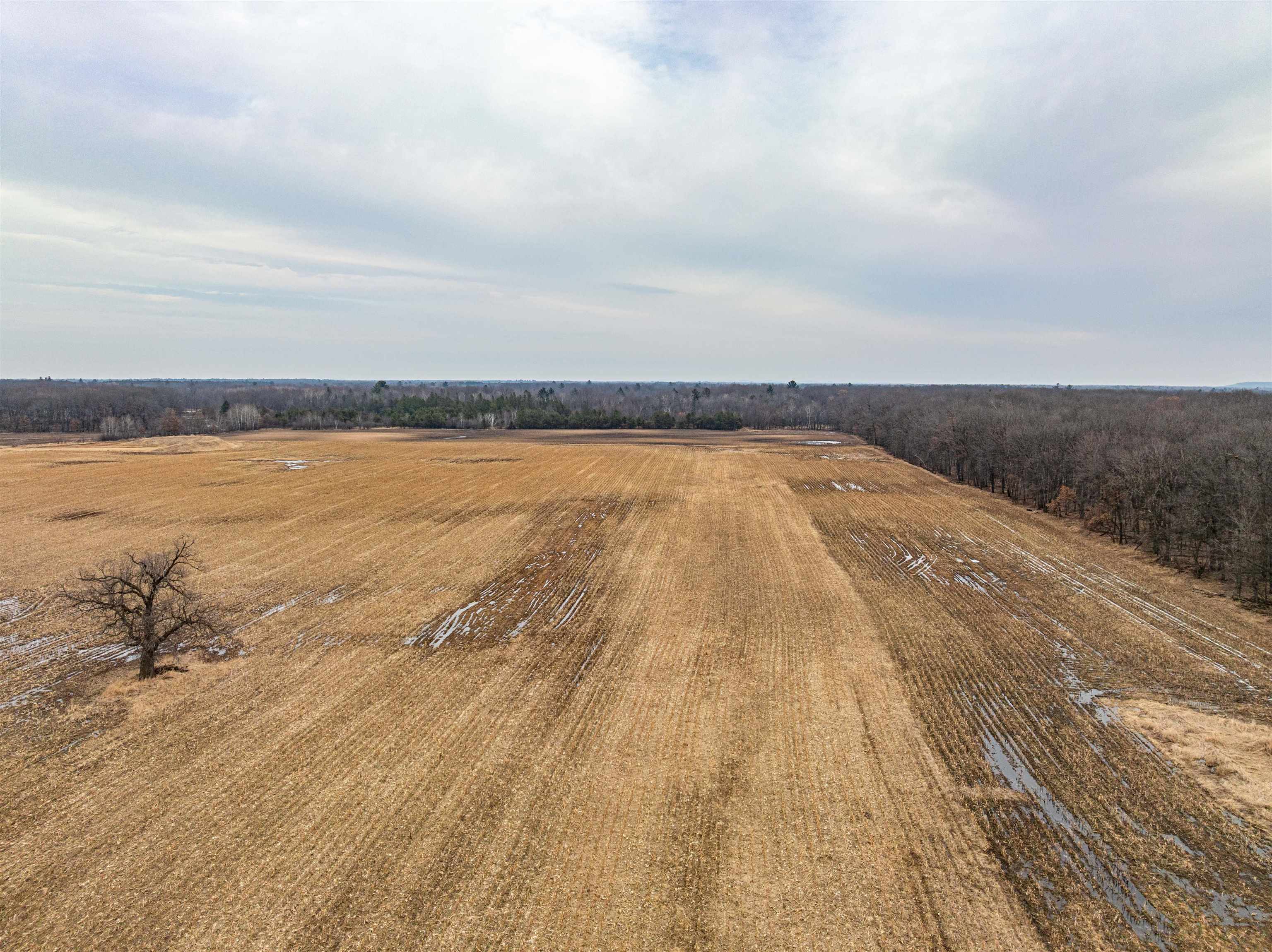 32-acres Germantown Road New Lisbon, WI 53950 - Photo 16 of 18