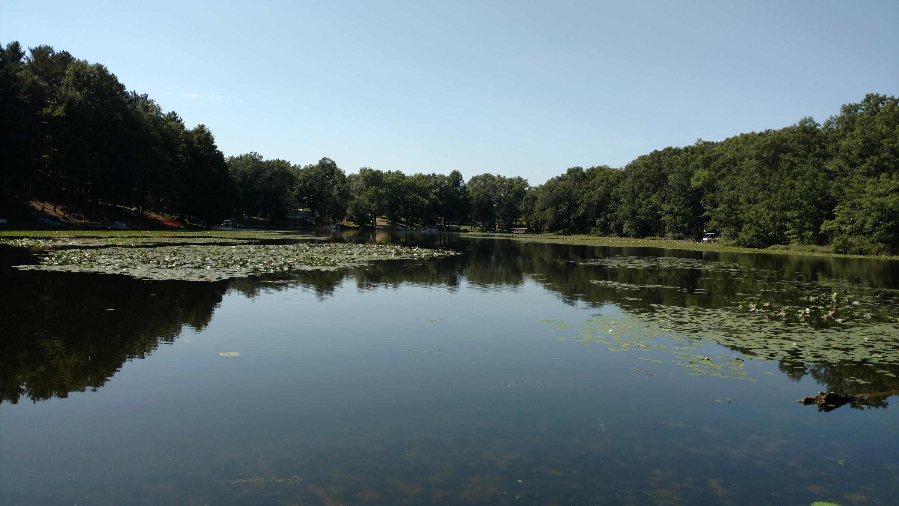 8196 Wildwood Road Reading, MI 49274 - Photo 6 of 81 IMG_20210825_152716972