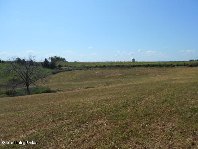 0 Wimsatt Road Loretto, KY 40037 - Photo 4 of 15 DSCN0201