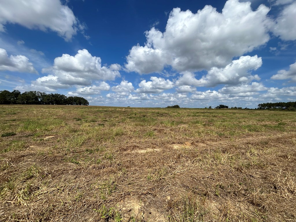 20.33-ac Sewell Road Dothan, AL 36301 - Photo 33 of 36