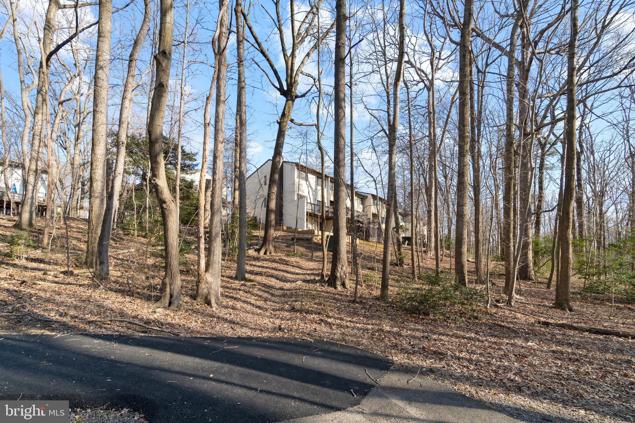 11924 Barrel Cooper Court Reston, VA 20191 - Photo 27 of 27 Nature trails of Reston!