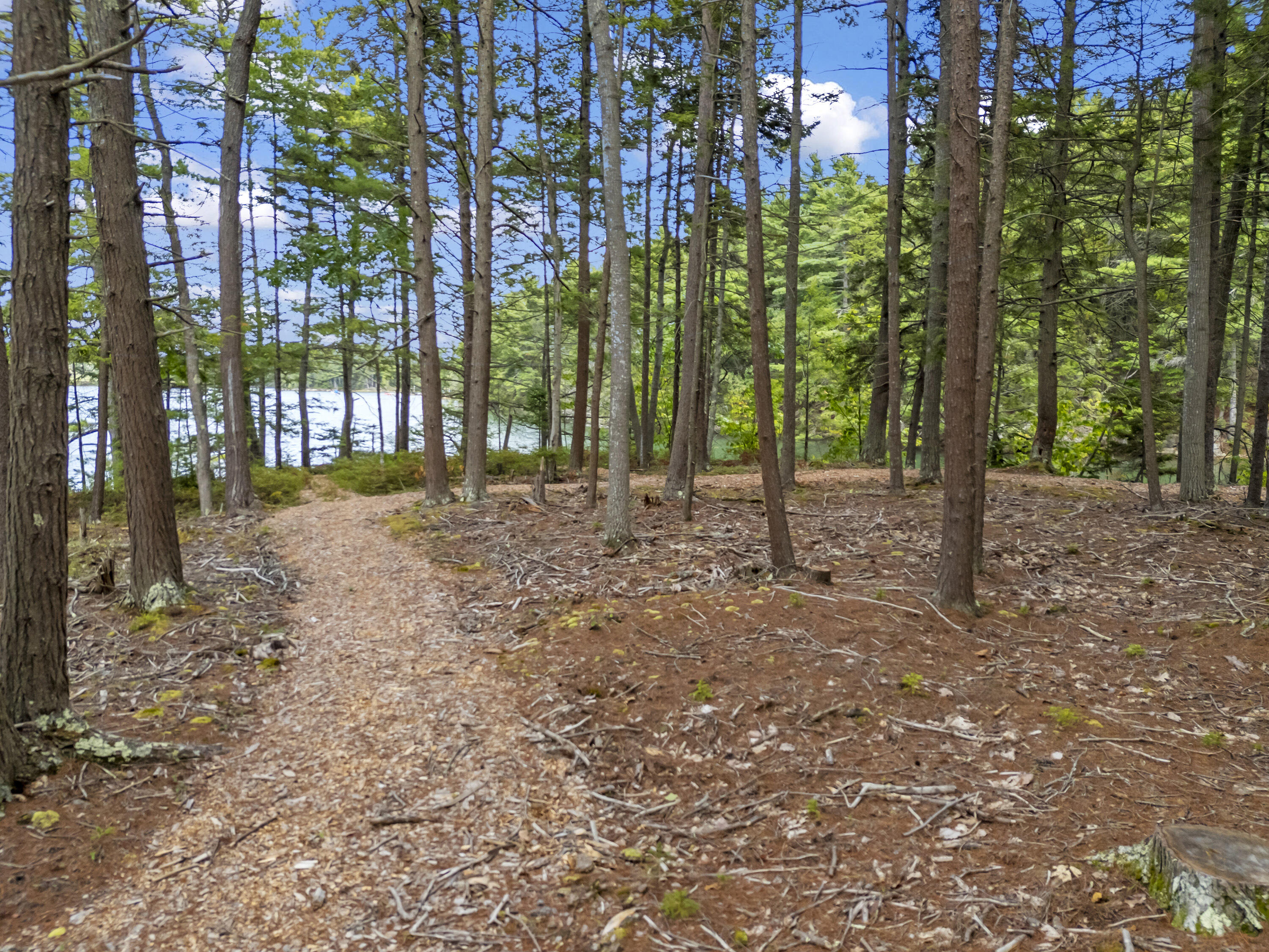 111 Rockweed Road West Bath, ME 04530 - Photo 68 of 73 Trails