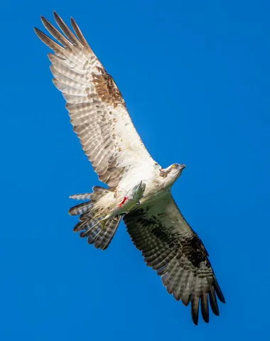 $2,375,000 | 111 Rockweed Road, West Bath, ME 04530