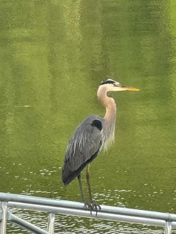 $2,375,000 | 111 Rockweed Road, West Bath, ME 04530