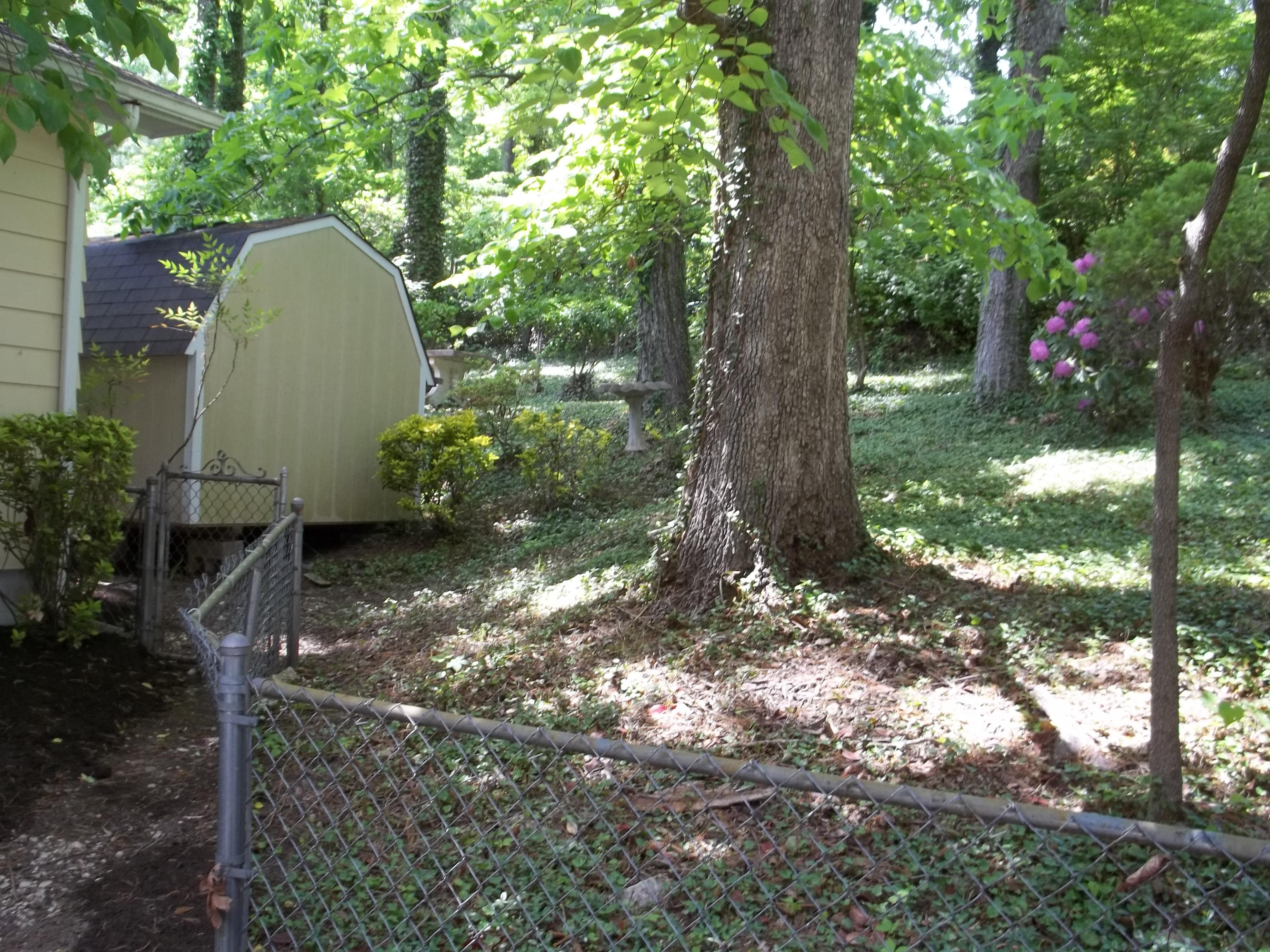 304 West Fernhill Road Oak Ridge, TN 37830 - Photo 19 of 22 100_5635