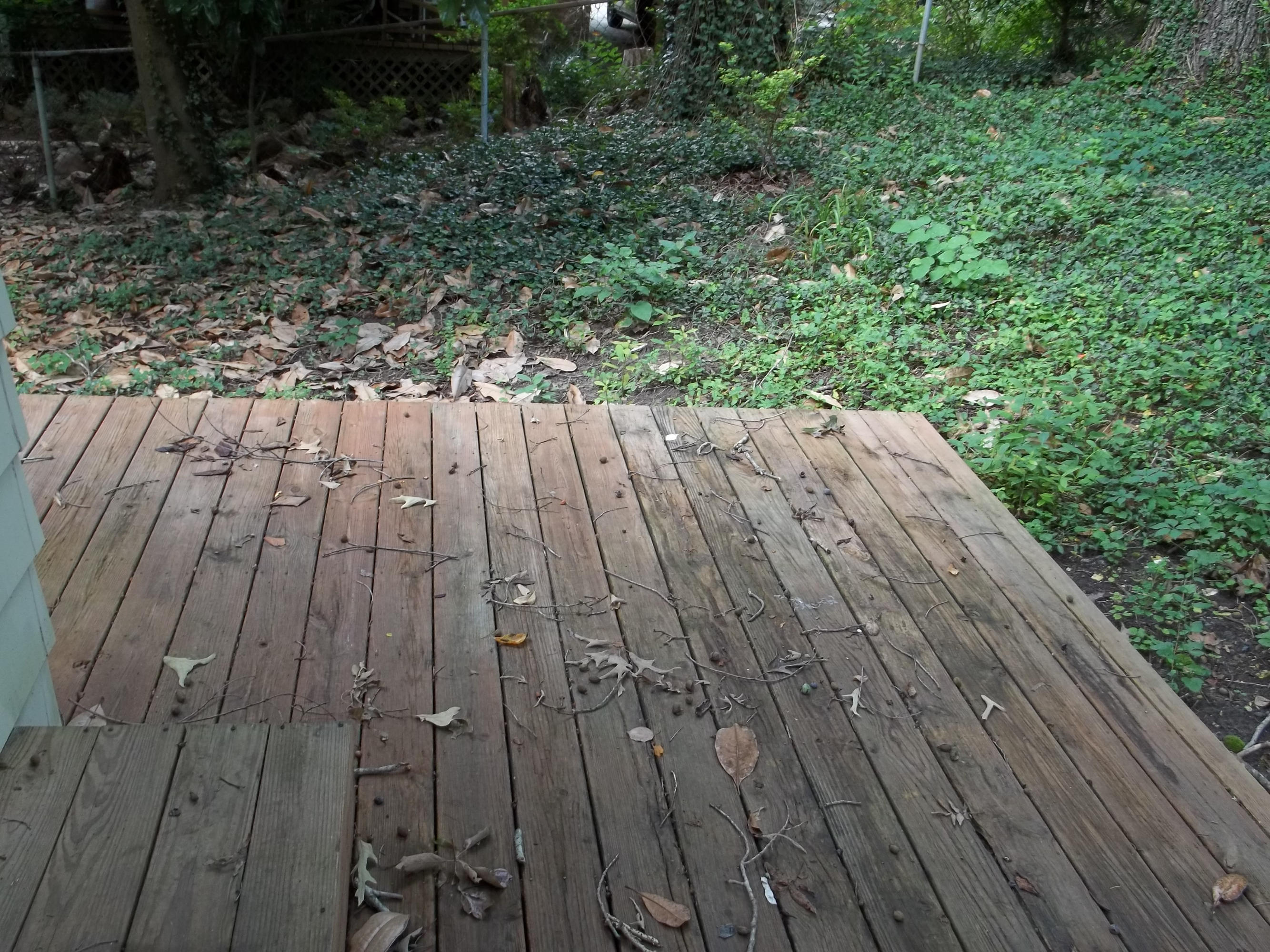 304 West Fernhill Road Oak Ridge, TN 37830 - Photo 21 of 22 100_5900