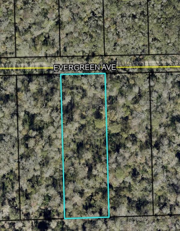 3741 Evergreen Avenue Bunnell, FL 32110 - Photo 1 of 3