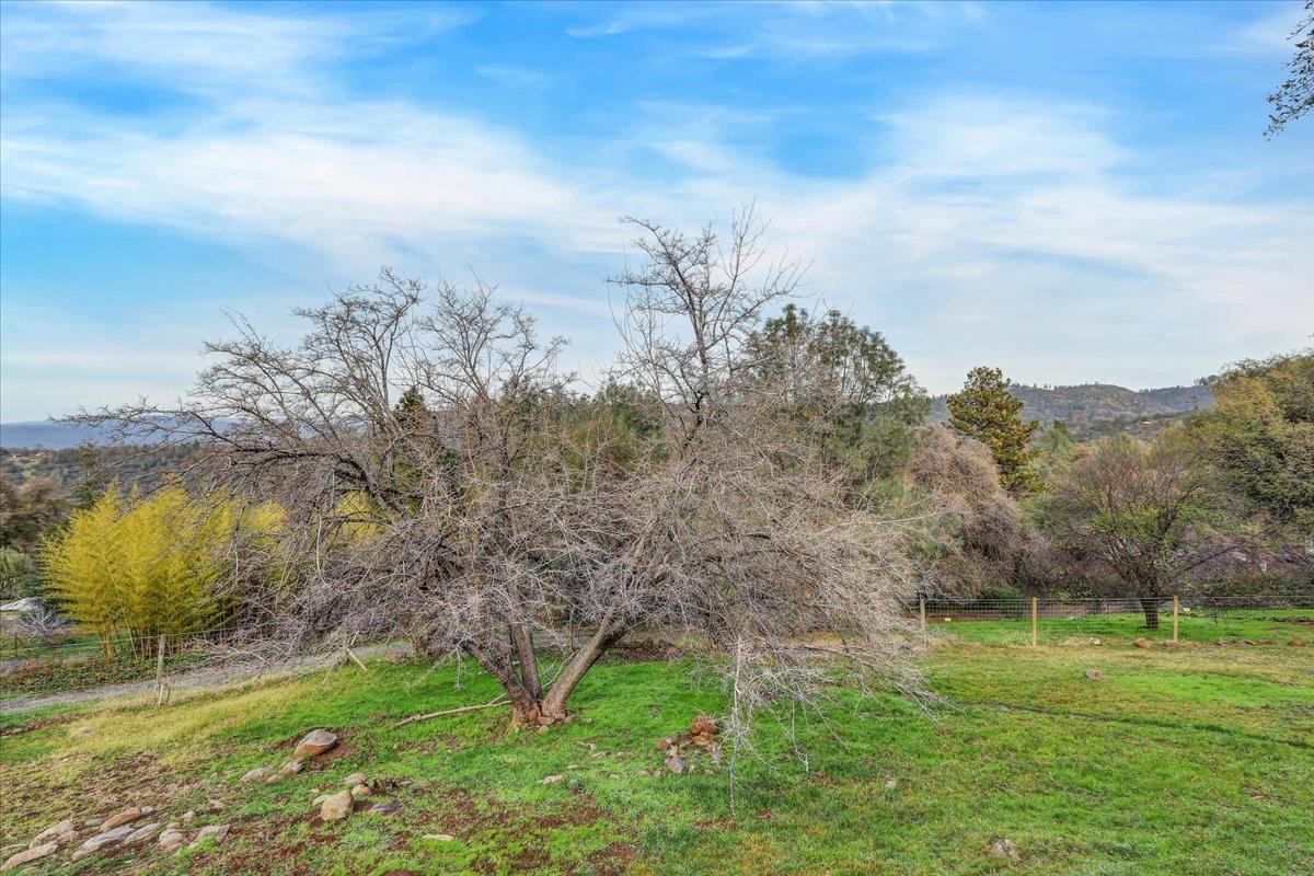10413 Riffle Box Road Rough and Ready, CA 95975 - Photo 74 of 99 Gallery Image 74