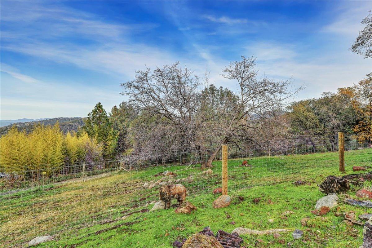 10413 Riffle Box Road Rough and Ready, CA 95975 - Photo 75 of 99 Gallery Image 75