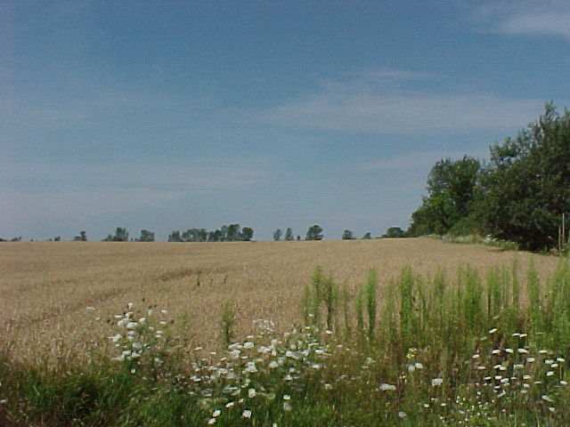 0 Maple Road Forestville, WI 54213 - Photo 1 of 1 Main View