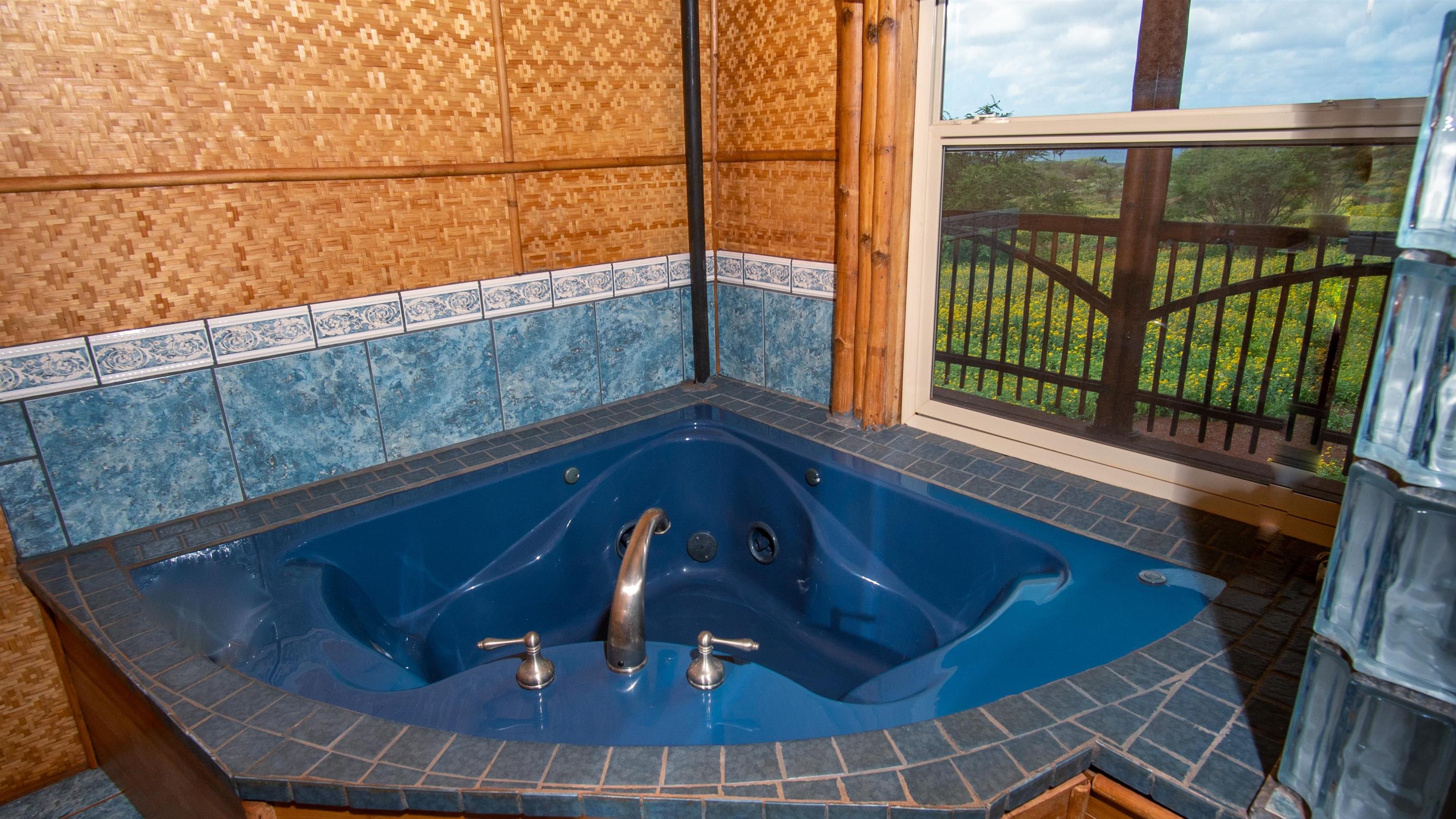 66 Noho Lio Road, Unit 158 Maunaloa, HI 96770 - Photo 20 of 32