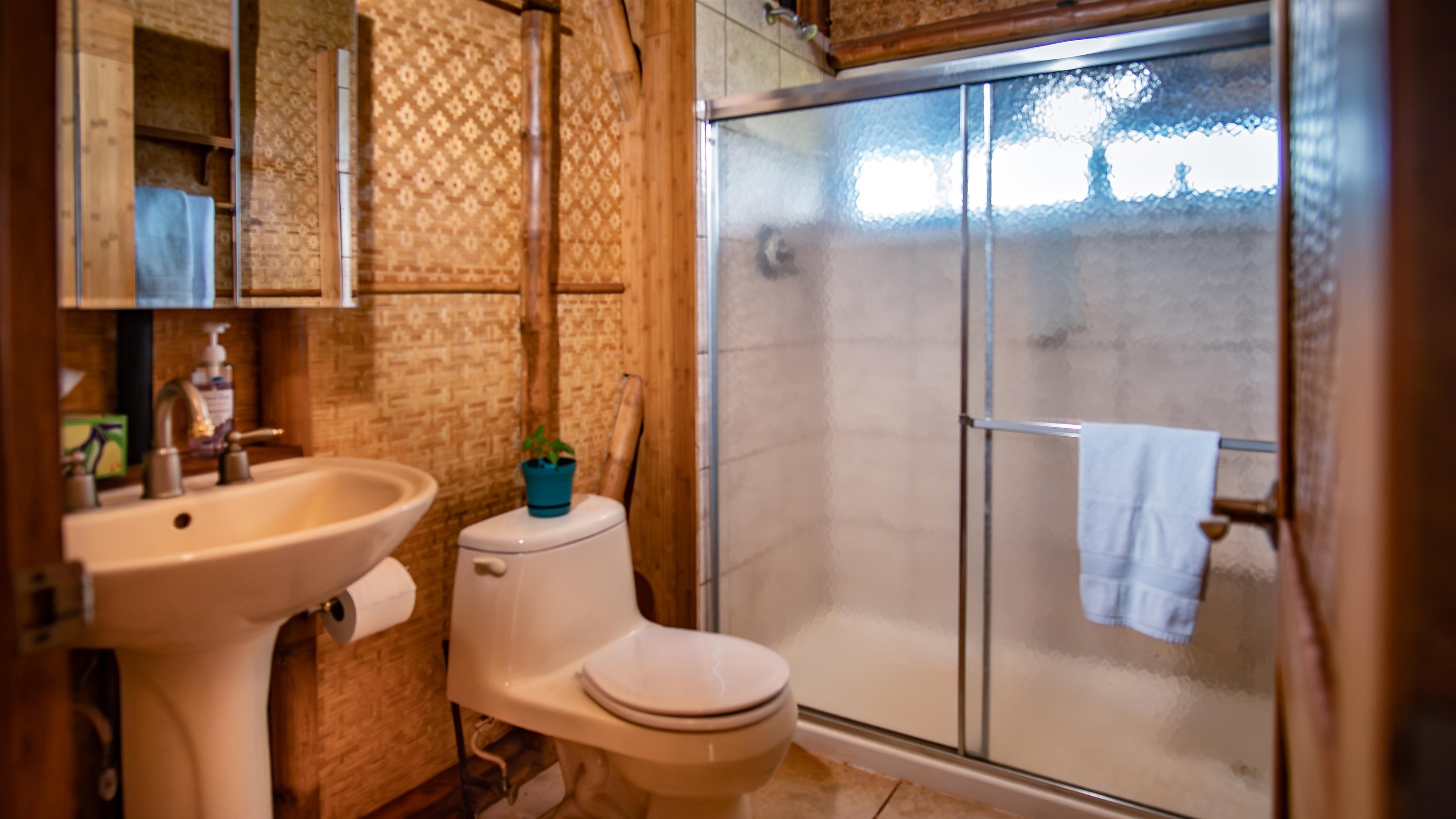 66 Noho Lio Road, Unit 158 Maunaloa, HI 96770 - Photo 25 of 32