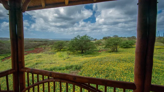 $729,000 | 66 Noho Lio Road, Unit 158, Maunaloa, HI 96770