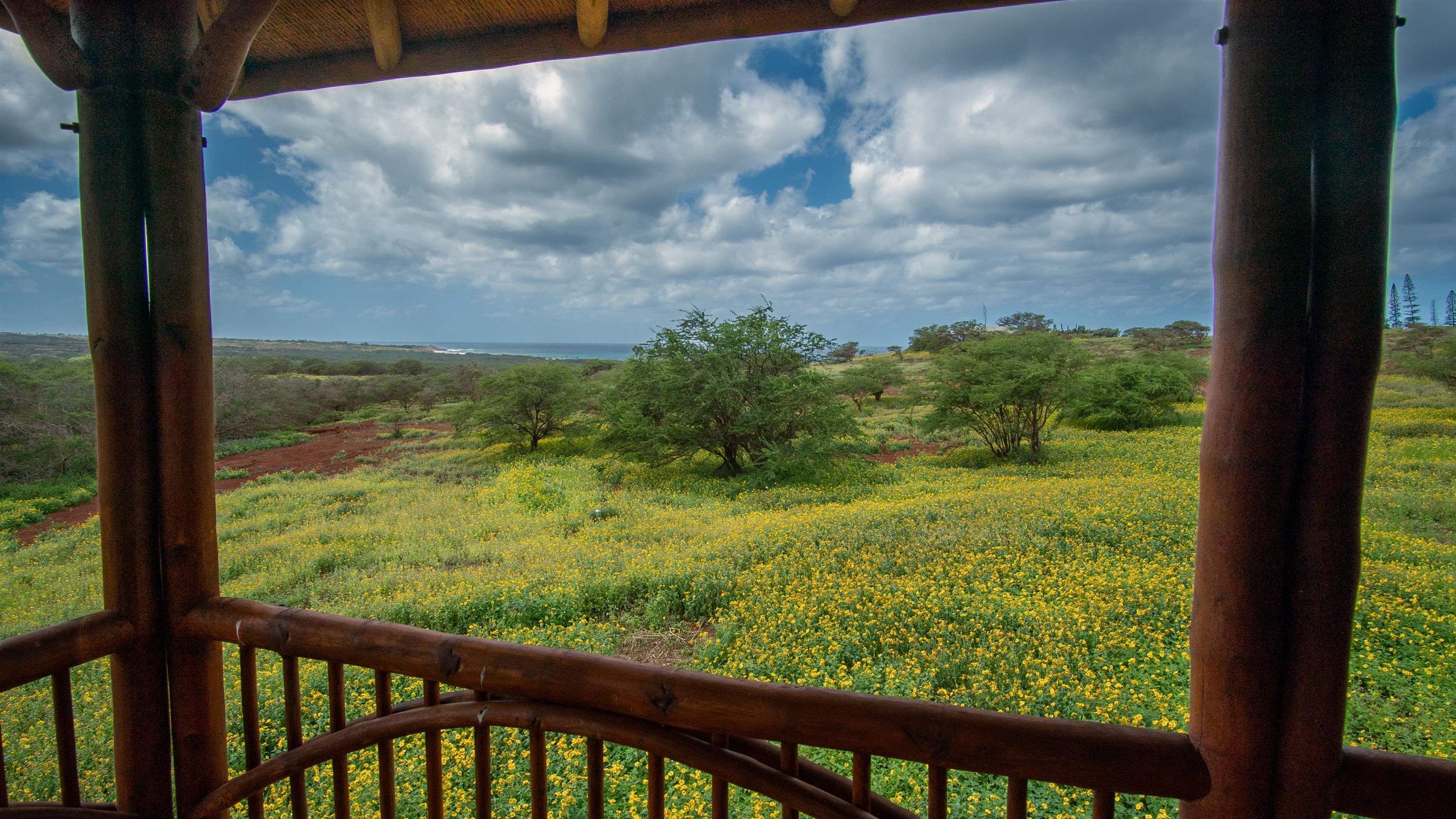 66 Noho Lio Road, Unit 158 Maunaloa, HI 96770 - Photo 8 of 32