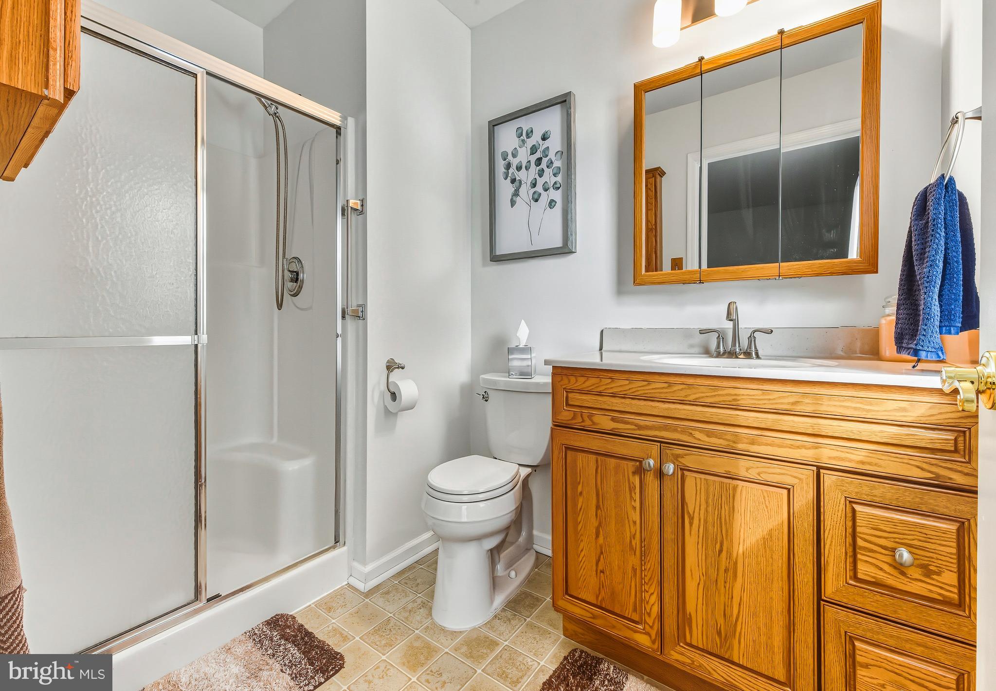 241 Gaunt Drive Mickleton, NJ 08056 - Photo 18 of 32 a bathroom with a granite countertop sink toilet and shower