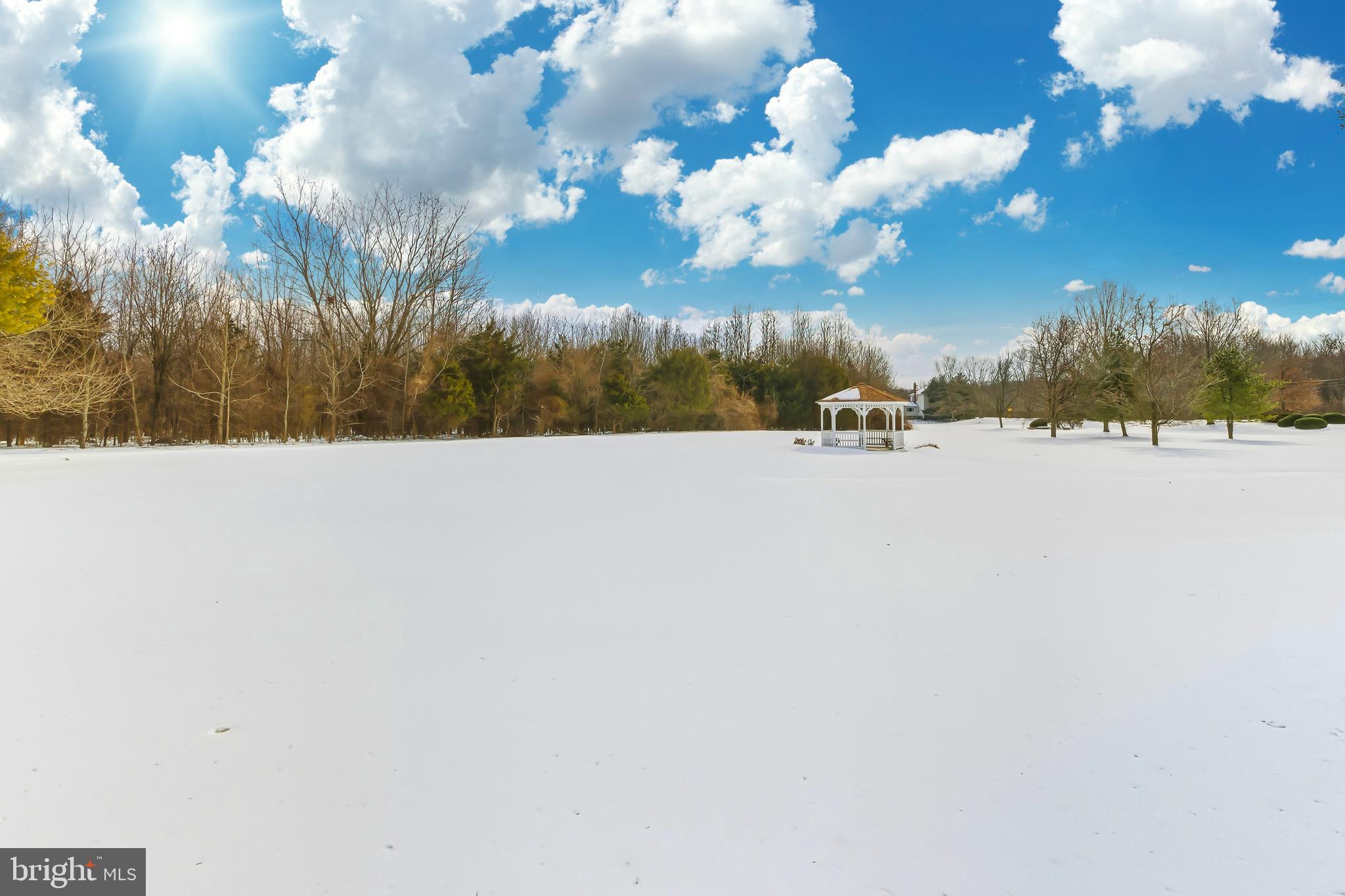 241 Gaunt Drive Mickleton, NJ 08056 - Photo 25 of 32 a view of three trees and sky view