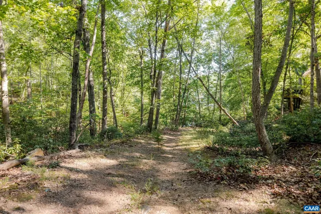 a backyard of a house with lots of green space