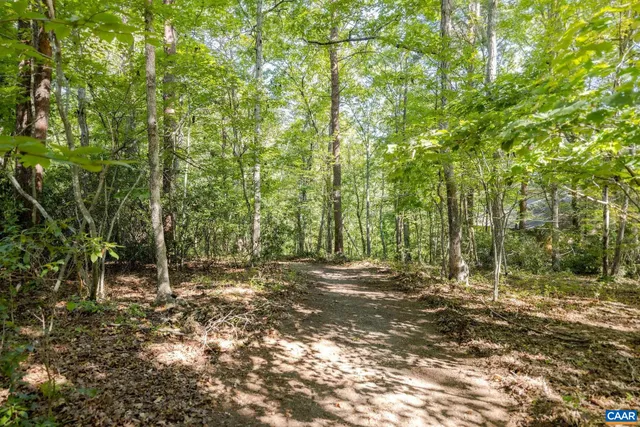 a view of a yard with plants and trees