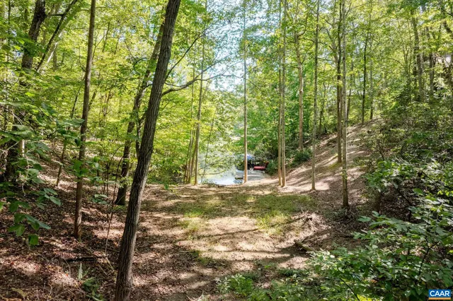 a view of a tree in the middle of a yard