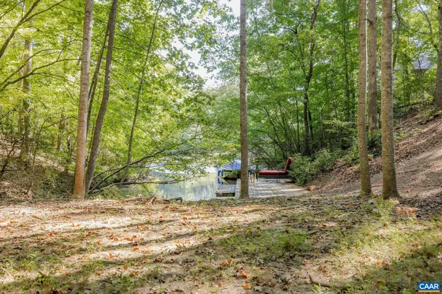 a view of a yard with a tree