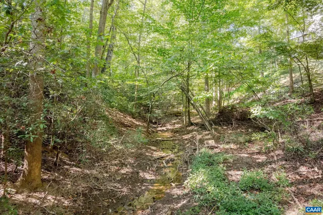 a view of a yard with large trees