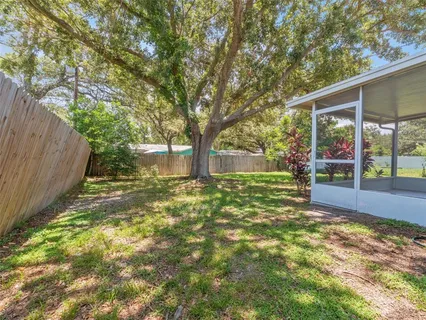 a view of a yard with plants and large trees