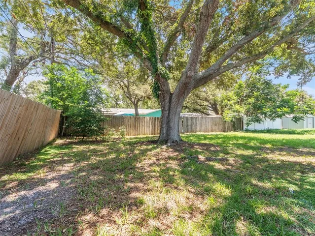 a view of a yard with a tree