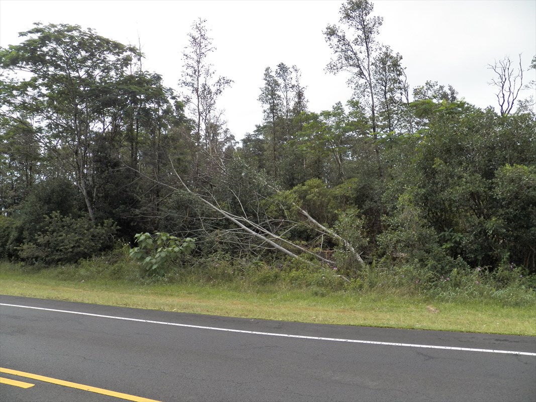 2 Pohoiki Road Pahoa, HI 96778 - Photo 1 of 6 Gallery Image 1