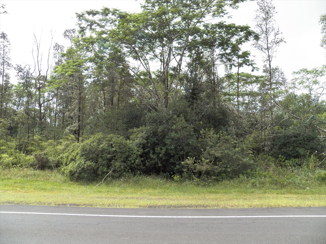 2 Pohoiki Road Pahoa, HI 96778 - Photo 2 of 6 Gallery Image 2