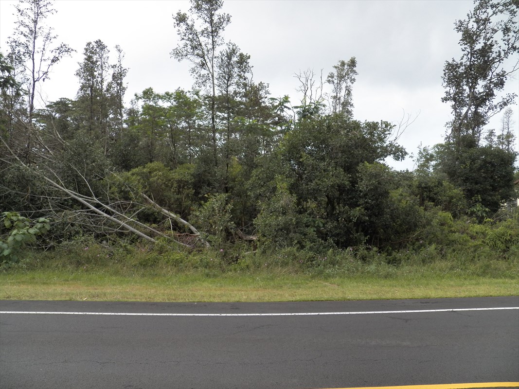 2 Pohoiki Road Pahoa, HI 96778 - Photo 3 of 6 Gallery Image 3