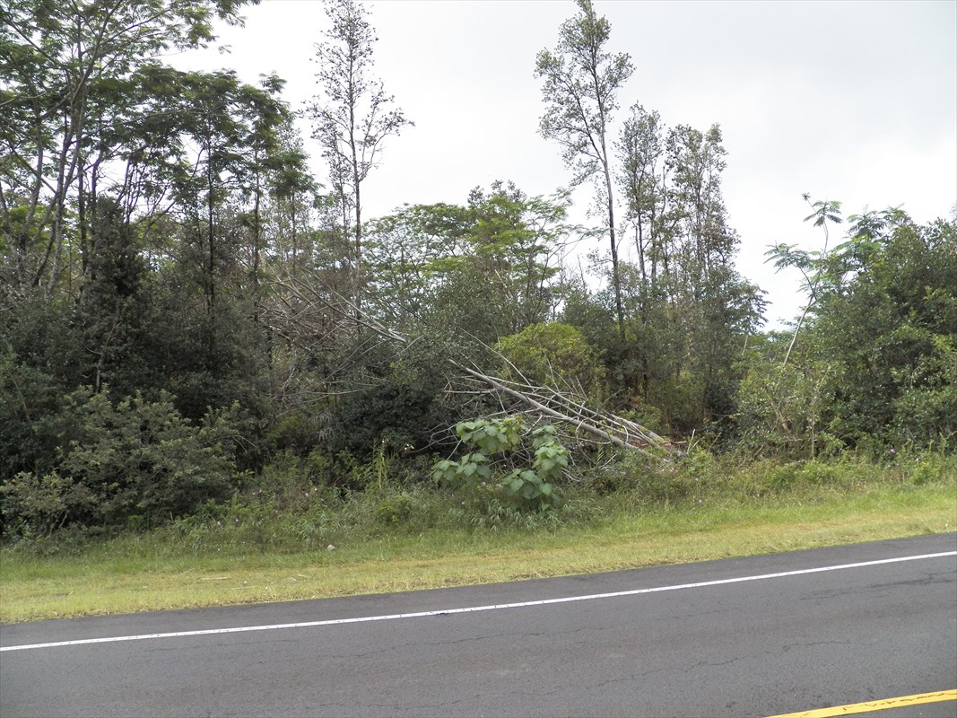 2 Pohoiki Road Pahoa, HI 96778 - Photo 5 of 6 Gallery Image 5