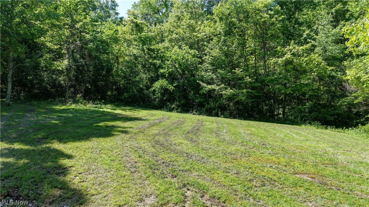 557 Beans Road Sherrodsville, OH 44675 - Photo 48 of 49