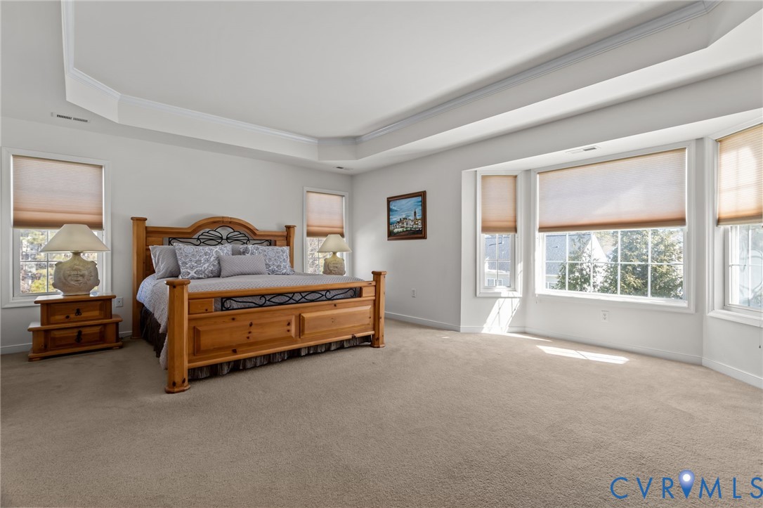 11007 Wooferton Court Midlothian, VA 23112 - Photo 33 of 62