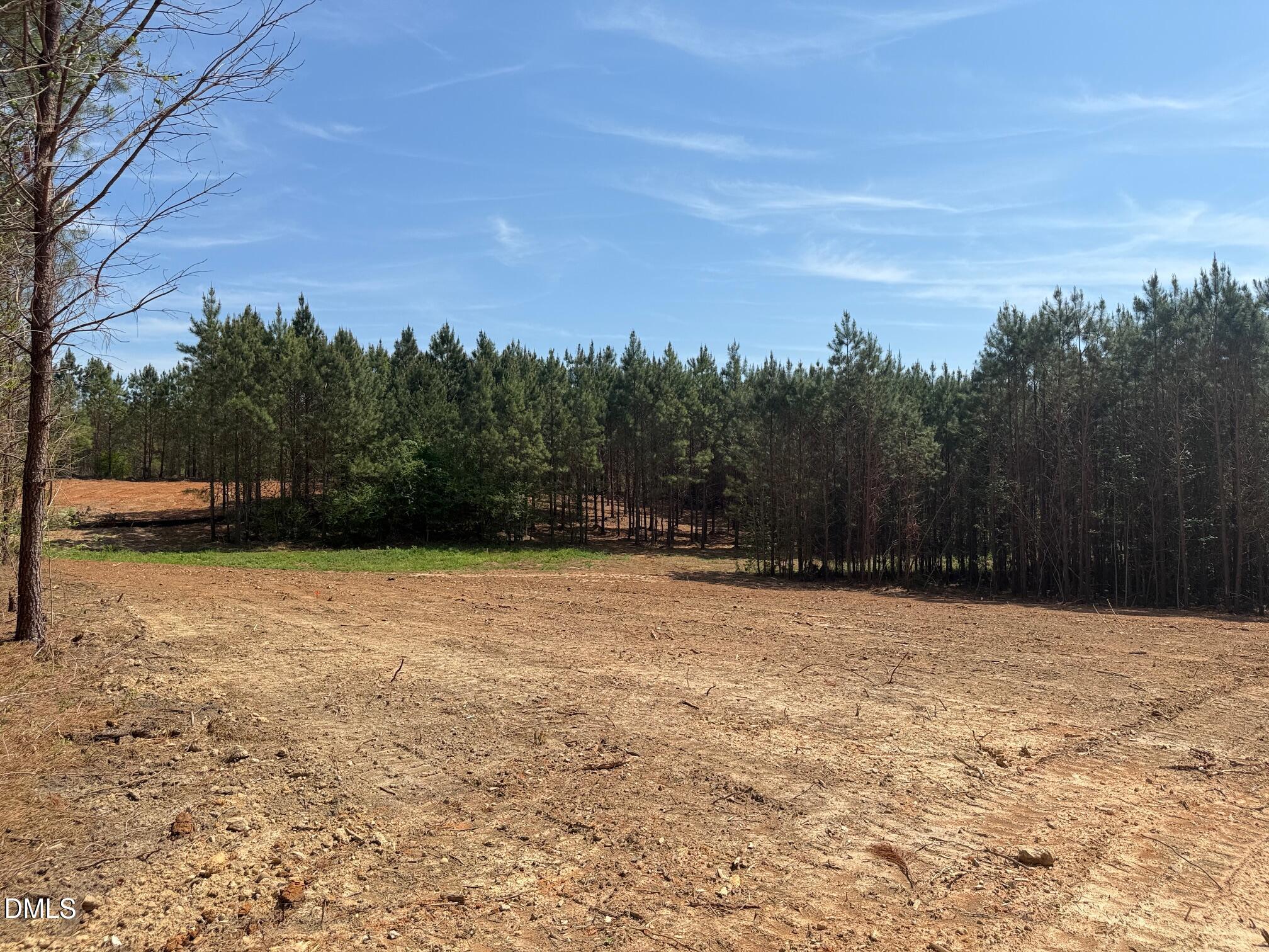 2379 Peachtree Hills Road Spring Hope, NC 27882 - Photo 4 of 11 Gallery Image 4