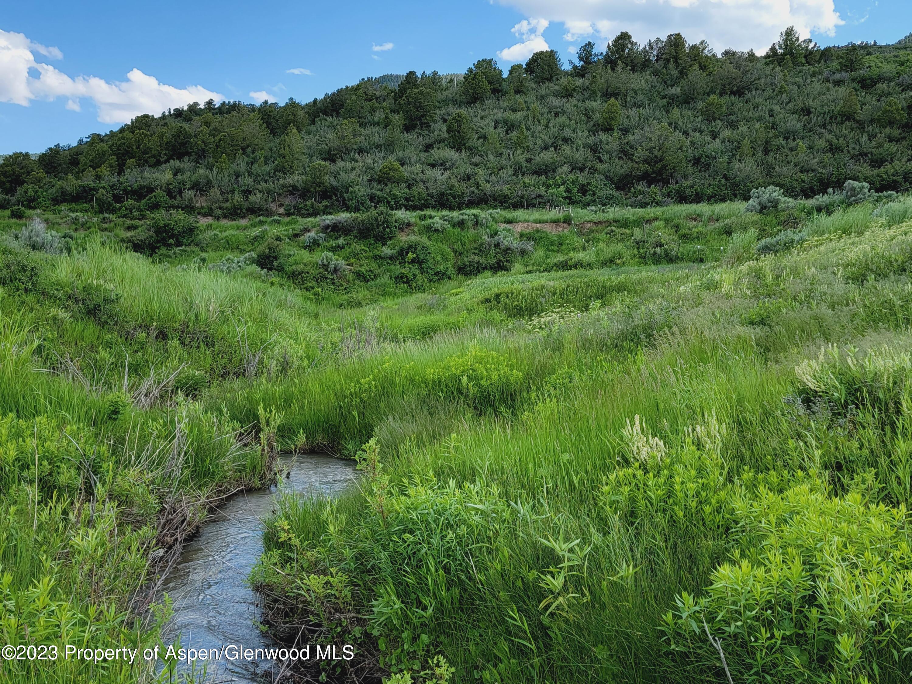 252 County Road 252 Rifle, CO 81650 - Photo 4 of 8 a view of a lush green forest with trees and some houses