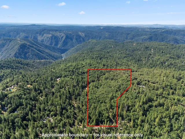 a view of a yard with an outdoor space