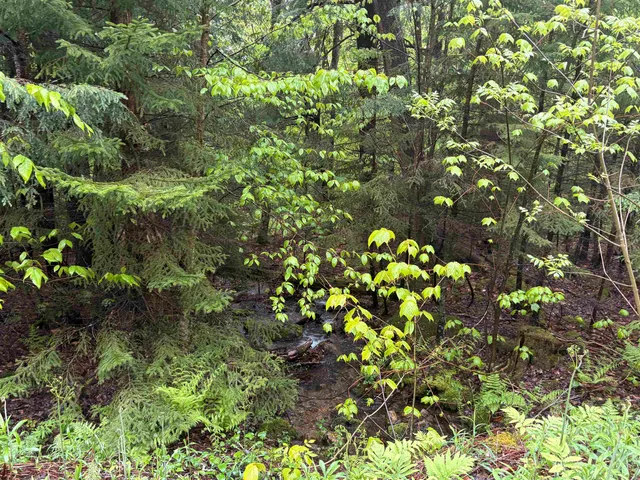 $27,500 | 0 Bergrucken Lane, Unit 6377, Stamford, VT 05352