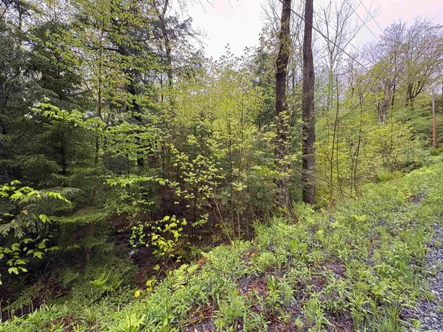 $27,500 | 0 Bergrucken Lane, Unit 6377, Stamford, VT 05352