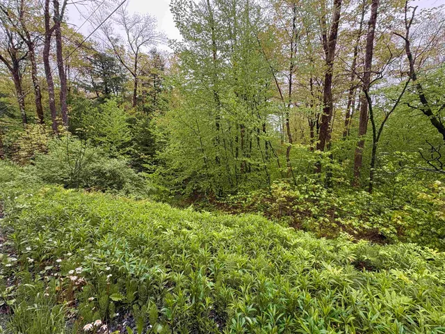 $27,500 | 0 Bergrucken Lane, Unit 6377, Stamford, VT 05352