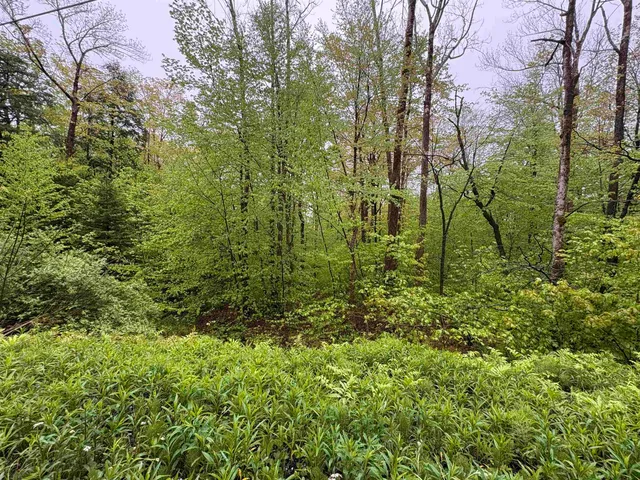 $27,500 | 0 Bergrucken Lane, Unit 6377, Stamford, VT 05352