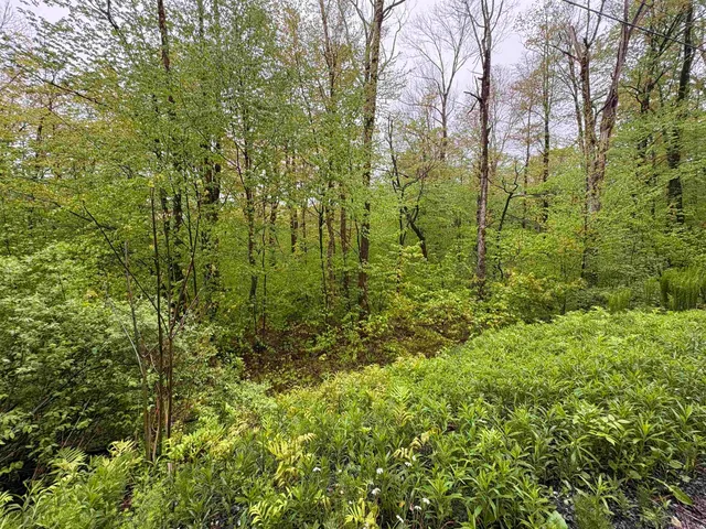 $27,500 | 0 Bergrucken Lane, Unit 6377, Stamford, VT 05352