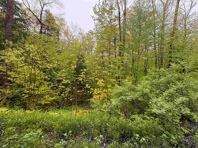 $27,500 | 0 Bergrucken Lane, Unit 6377, Stamford, VT 05352