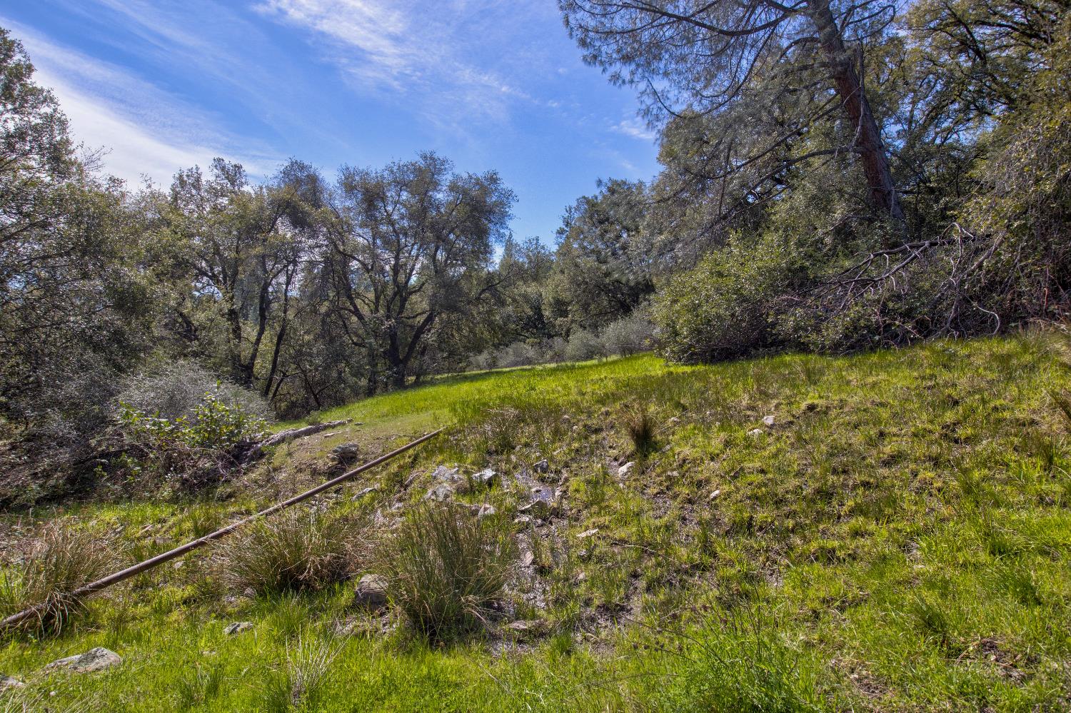 18800 Charleston Road Volcano, CA 95689 - Photo 24 of 47 Gallery Image 24
