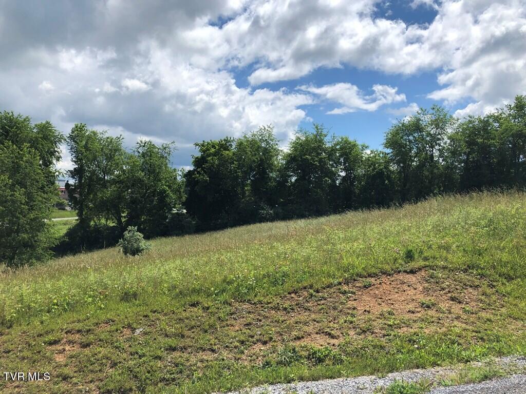 Tbd Tbd Village Loop, Unit 21 Abingdon, VA 24210 - Photo 3 of 3 78591_2
